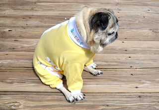 Pets Wear