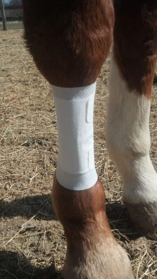 Equine BandaFlex Non-Adhesive, Disposable, Washable and Reusable Bandages
