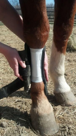 Equine BandaFlex Non-Adhesive, Disposable, Washable and Reusable Bandages