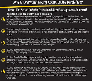 Equine BandaFlex Non-Adhesive, Disposable, Washable and Reusable Bandages