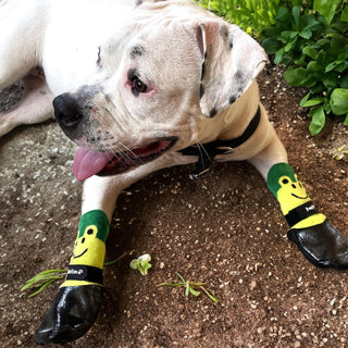 Double Dipped Waterproof Dog Socks Comfy Pawz Soft Indoor/Outdoor Dog Booties with Rubberized Bottom| Non-Slip Silicone Grip at Inner Cuff for No Twisting or Sliding Off| Adjustable Strap