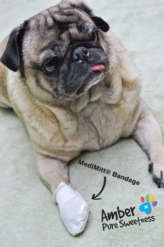 Medimitt Paw Bandages for Dogs, Cats and Pets – Stretchy Medical Booties, First Aid for Paws (Pack of 4, 12 & 20)