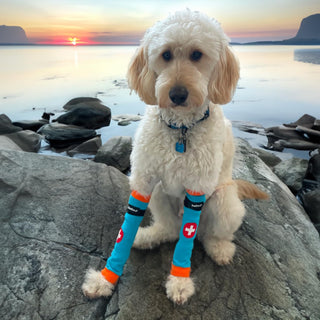 Comfy Pawz Cotton Nonslip Protective Leggings for Dogs | Medical Pet Sleeve for Dogs Legs with Non-Slip Silicone Grip at Inner Cuffs and Adjustable Strap for No Twisting or Sliding Down