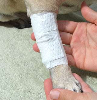 Joint and Large Area Wound Bandages for Dogs Cats & Other Pets. Great for Leg Joint sprains and Tail Injuries! Non Adhesive Breathable Non-Slip Disposable Washable Value Pack (2XS/XS 16pk)