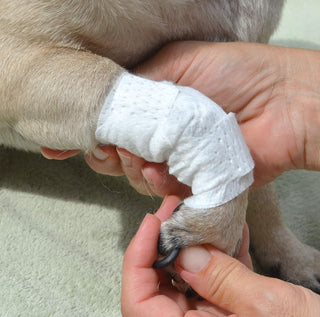 Joint and Large Area Wound Bandages for Dogs Cats & Other Pets. Great for Leg Joint sprains and Tail Injuries! Non Adhesive Breathable Non-Slip Disposable Washable Value Pack (2XS/XS 16pk)
