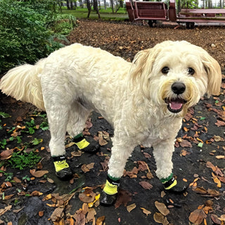 Double Dipped Waterproof Dog Socks Comfy Pawz Soft Indoor/Outdoor Dog Booties with Rubberized Bottom| Non-Slip Silicone Grip at Inner Cuff for No Twisting or Sliding Off| Adjustable Strap