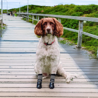 PawFlex Comfy Pawz Double Dipped Waterproof Dog Booties | Outdoor Pet Socks with Rubberized Bottom| Patented Non-Slip Silicone Grip at Inner Cuff and Center for No Twisting or Sliding Off