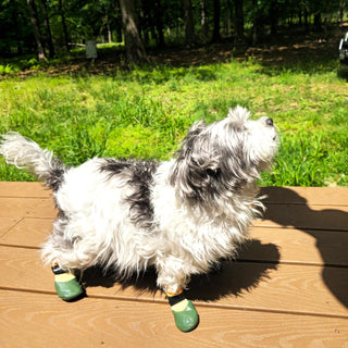 PawFlex Comfy Pawz Double Dipped Waterproof Dog Booties | Outdoor Pet Socks with Rubberized Bottom| Patented Non-Slip Silicone Grip at Inner Cuff and Center for No Twisting or Sliding Off