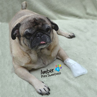 Pawflex Bandages, Non-Adhesive, Disposable, Washable and Reusable First Response Care Kit for Paws