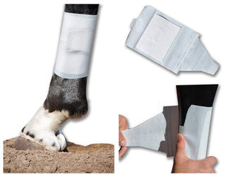 Cohesive wrap Alternative Equine BandaFlex Horse Bandages for Lower Leg Double Catch Hook & Loop Fasteners Super Stretch, Disposable, Washable & Breathable