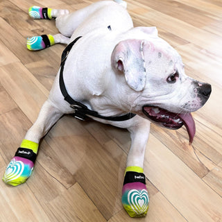 Medical Therapeutic Double Sided Non-Slip Cotton Dog Socks | PawFlex Comfy Pawz Silicone Grip on Inner Cuff No Twisting or Sliding Off | Senior & Disabled Dog Traction Control |Pet Paw Protection