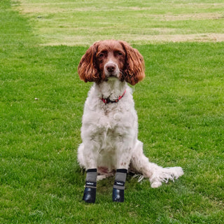 PawFlex Comfy Pawz Double Dipped Waterproof Dog Booties | Outdoor Pet Socks with Rubberized Bottom| Patented Non-Slip Silicone Grip at Inner Cuff and Center for No Twisting or Sliding Off