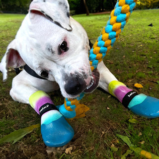 PawFlex Comfy Pawz Double Dipped Waterproof Dog Booties | Outdoor Pet Socks with Rubberized Bottom| Patented Non-Slip Silicone Grip at Inner Cuff and Center for No Twisting or Sliding Off