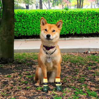 PawFlex Comfy Pawz Double Dipped Waterproof Dog Booties | Outdoor Pet Socks with Rubberized Bottom| Patented Non-Slip Silicone Grip at Inner Cuff and Center for No Twisting or Sliding Off