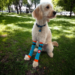 Comfy Pawz Cotton Nonslip Protective Leggings for Dogs | Medical Pet Sleeve for Dogs Legs with Non-Slip Silicone Grip at Inner Cuffs and Adjustable Strap for No Twisting or Sliding Down