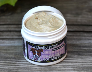 Wickedly Potent! VEGAN HEMP Toothpaste for dogs - All-natural oral care for pets Fights Plaque- Freshens Breath- Soothing Antibacterial Whitening Holistic & Herbal Remedy. EASY ACCESS JAR