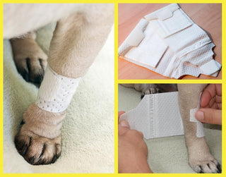Basic Leg Bandages for Dogs, Cats and Other Pets First Aid Non-Adhesive Fur Friendly - Value 10 Pack (5 Standard, 5 Wide) by PawFlex (XXX-Small)