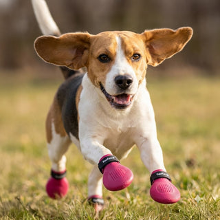 PawFlex Gripsterz All Weather Outdoor Breathable Nonslip Silicone Dog Boots.  Super Stretchy Paw Protection - Dog Shoes for Hot Pavement, Snow, Ice, and Rain. Provides traction on slippery surfaces- Durable and Form Fitting