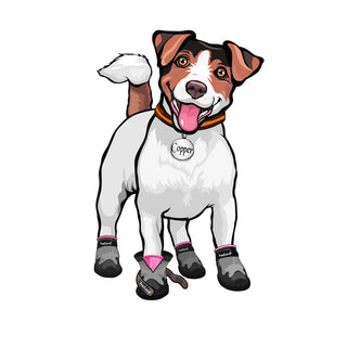PawFlex Gripsterz Silicone Under Boot Grip Bands for Keeping Dog Boots, Shoes and Socks on - No Twisting or Falling Off- Super Soft, Cushiony and Stretchy Nonslip Grippy Under Boot Wrist/Ankle Bands- Works with all Dog Socks and Boot