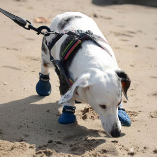 PawFlex Gripsterz All Weather Outdoor Breathable Nonslip Silicone Dog Boots.  Super Stretchy Paw Protection - Dog Shoes for Hot Pavement, Snow, Ice, and Rain. Provides traction on slippery surfaces- Durable and Form Fitting