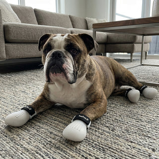 PawFlex Gripsterz Indoor Wound Care Boot with Woundpad inserts- Paw Bandage- Super Soft Cushiony, Breathable Stretchy Silicone Dog Boots. Paw Protection Covers- Waterproof Bottoms, NonSlip Rubber Dog Shoes for traction on slippery surfaces