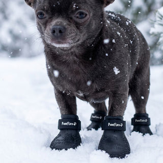 PawFlex Gripsterz All Weather Waterproof Nonslip Silicone Dog Boots.  Super Stretchy Paw Protection - Dog Shoes for Hot Pavement, Snow, Ice, and Rain. Provides traction on slippery surfaces- Durable and Form Fitting