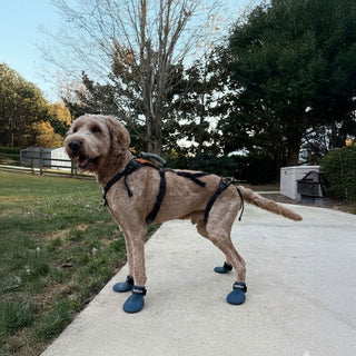 PawFlex Gripsterz All Weather Waterproof Nonslip Silicone Dog Boots.  Super Stretchy Paw Protection - Dog Shoes for Hot Pavement, Snow, Ice, and Rain. Provides traction on slippery surfaces- Durable and Form Fitting