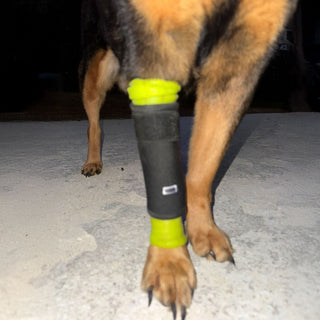 PawFlex Gripsterz Super Stretchy and Grippy Silicone Dog Leg Sleeve Protection for under Leg Braces or over Bandages- Provides Cushion and Grip- Keeps Braces and Bandages in Place.