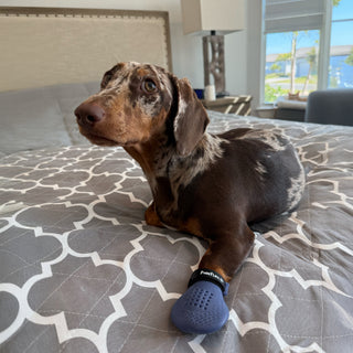 PawFlex Gripsterz Indoor Wound Care Boot with Woundpad inserts- Paw Bandage- Super Soft Cushiony, Breathable Stretchy Silicone Dog Boots. Paw Protection Covers- Waterproof Bottoms, NonSlip Rubber Dog Shoes for traction on slippery surfaces