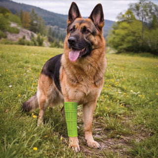 PawFlex Gripsterz Super Stretchy and Grippy Silicone Dog Leg Sleeve Protection for under Leg Braces or over Bandages- Provides Cushion and Grip- Keeps Braces and Bandages in Place.