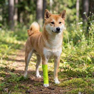 PawFlex Gripsterz Super Stretchy and Grippy Silicone Dog Leg Sleeve Protection for under Leg Braces or over Bandages- Provides Cushion and Grip- Keeps Braces and Bandages in Place.