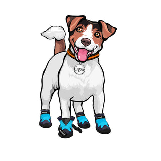 PawFlex Gripsterz Silicone Under Boot Grip Bands for Keeping Dog Boots, Shoes and Socks on - No Twisting or Falling Off- Super Soft, Cushiony and Stretchy Nonslip Grippy Under Boot Wrist/Ankle Bands- Works with all Dog Socks and Boot