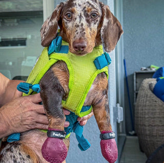 PawFlex Gripsterz All Weather Waterproof Nonslip Silicone Dog Boots.  Super Stretchy Paw Protection - Dog Shoes for Hot Pavement, Snow, Ice, and Rain. Provides traction on slippery surfaces- Durable and Form Fitting