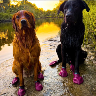 PawFlex Gripsterz All Weather Waterproof Nonslip Silicone Dog Boots.  Super Stretchy Paw Protection - Dog Shoes for Hot Pavement, Snow, Ice, and Rain. Provides traction on slippery surfaces- Durable and Form Fitting