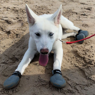 PawFlex Gripsterz All Weather Outdoor Breathable Nonslip Silicone Dog Boots.  Super Stretchy Paw Protection - Dog Shoes for Hot Pavement, Snow, Ice, and Rain. Provides traction on slippery surfaces- Durable and Form Fitting