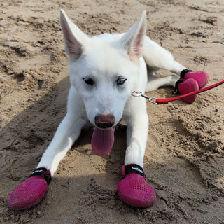 PawFlex Gripsterz All Weather Outdoor Breathable Nonslip Silicone Dog Boots.  Super Stretchy Paw Protection - Dog Shoes for Hot Pavement, Snow, Ice, and Rain. Provides traction on slippery surfaces- Durable and Form Fitting