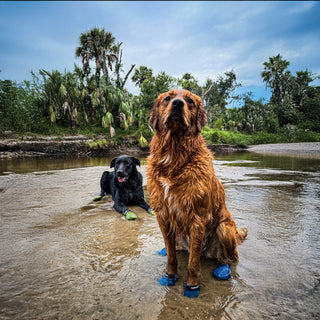 PawFlex Gripsterz All Weather Outdoor Breathable Nonslip Silicone Dog Boots.  Super Stretchy Paw Protection - Dog Shoes for Hot Pavement, Snow, Ice, and Rain. Provides traction on slippery surfaces- Durable and Form Fitting