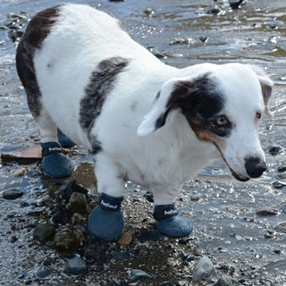 PawFlex Gripsterz All Weather Waterproof Nonslip Silicone Dog Boots.  Super Stretchy Paw Protection - Dog Shoes for Hot Pavement, Snow, Ice, and Rain. Provides traction on slippery surfaces- Durable and Form Fitting