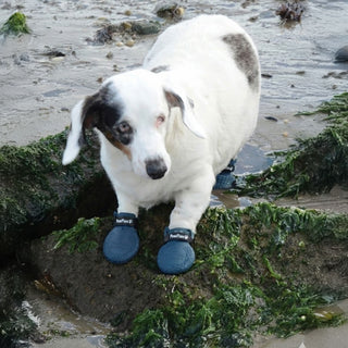 PawFlex Gripsterz All Weather Waterproof Nonslip Silicone Dog Boots.  Super Stretchy Paw Protection - Dog Shoes for Hot Pavement, Snow, Ice, and Rain. Provides traction on slippery surfaces- Durable and Form Fitting