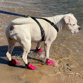PawFlex Gripsterz All Weather Outdoor Breathable Nonslip Silicone Dog Boots.  Super Stretchy Paw Protection - Dog Shoes for Hot Pavement, Snow, Ice, and Rain. Provides traction on slippery surfaces- Durable and Form Fitting