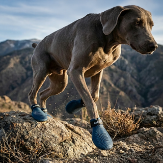 PawFlex Gripsterz All Weather Outdoor Breathable Nonslip Silicone Dog Boots.  Super Stretchy Paw Protection - Dog Shoes for Hot Pavement, Snow, Ice, and Rain. Provides traction on slippery surfaces- Durable and Form Fitting