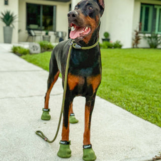 PawFlex Gripsterz All Weather Outdoor Breathable Nonslip Silicone Dog Boots.  Super Stretchy Paw Protection - Dog Shoes for Hot Pavement, Snow, Ice, and Rain. Provides traction on slippery surfaces- Durable and Form Fitting