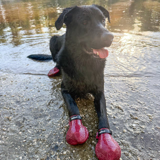 PawFlex Gripsterz All Weather Waterproof Nonslip Silicone Dog Boots.  Super Stretchy Paw Protection - Dog Shoes for Hot Pavement, Snow, Ice, and Rain. Provides traction on slippery surfaces- Durable and Form Fitting
