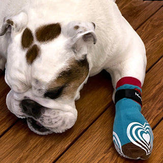 PawFlex Comfy Pawz™ Long Cotton Dog Socks with Double Sided Anti-Slip bottoms and Adjustable Strap-4 socks per pack