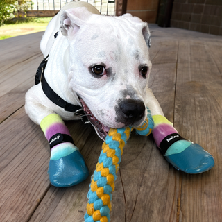 PawFlex Comfy Pawz Double Dipped Waterproof Dog Booties Paw Coverage For Indoor or Outdoor use-4 boots per pack