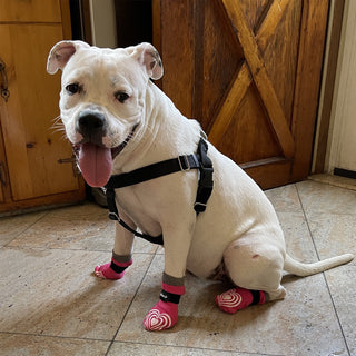 PawFlex Comfy Pawz™ Long Cotton Dog Socks with Double Sided Anti-Slip bottoms and Adjustable Strap-4 socks per pack