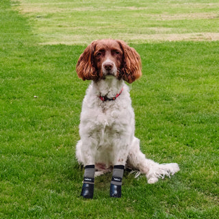 PawFlex Comfy Pawz Double Dipped Waterproof Dog Booties Paw Coverage For Indoor or Outdoor use-4 boots per pack