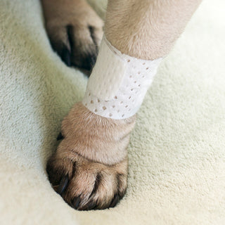 Basic Pet Bandage-4 bandages per pack