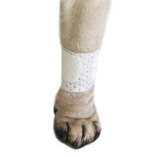 Basic Pet Bandage-4 bandages per pack