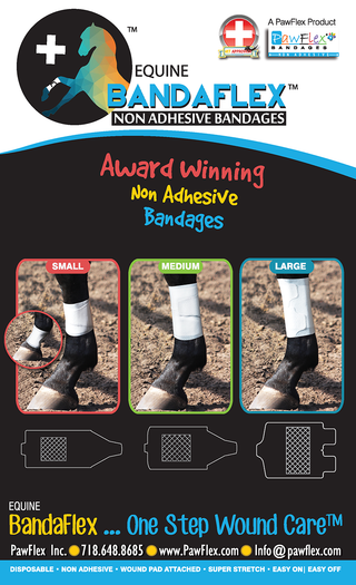 Medium Horse Bandage-10 bandages per pack